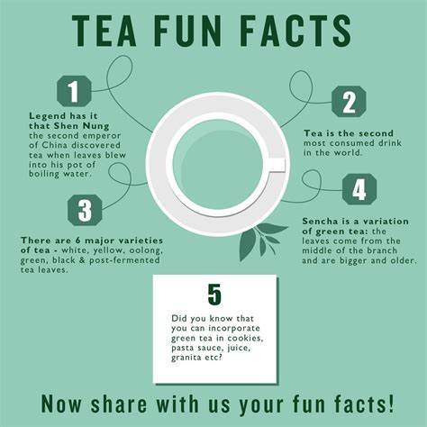 Tea Fun Facts Quite Interesting Green Tea Healthy Fun Facts