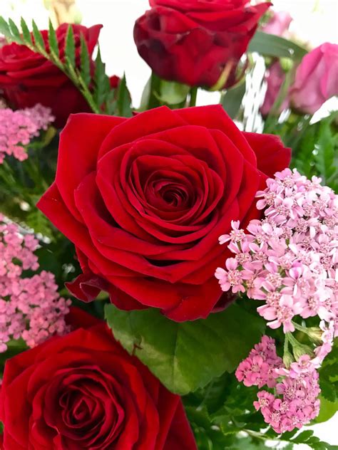 Beautiful red roses are a classic flower gift that will always evoke a sigh of delight, but you. Valentine's Day Flowers Delivery in Kilkenny