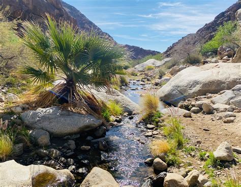 I Hiked To A Surreal California Desert Oasis Then Two More Now I Must