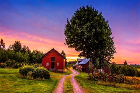 Sunset Trees Road Home Landscape Rustic Farm House Wallpaper Background