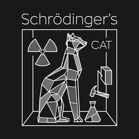 schrödinger s cat schrodingers cat long sleeve t shirt teepublic