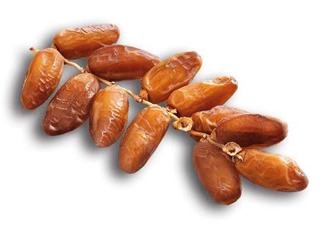 Dattes Deglet Nour Naturelles Haddoud Salim Algerian Dates Grower Packer And Worldwide Exporter