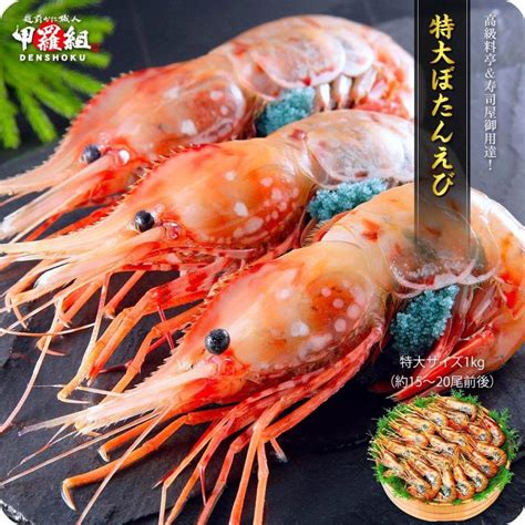 希少な特大サイズを厳選 子持ち ぼたんえび 1kg（約15〜20尾前後） ギフト エビ ボタンエビ 牡丹えび Ff 200025越前かに