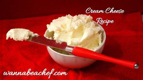 How To Make Cream Cheese Homemade Cream Cheese Recipe Youtube