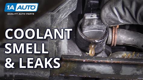 Diagnosing Coolant Smells And Leaks Coming From Your Car Suv Or Truck