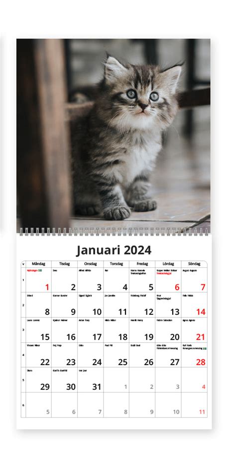 Katter Mini Väggkalender 2024