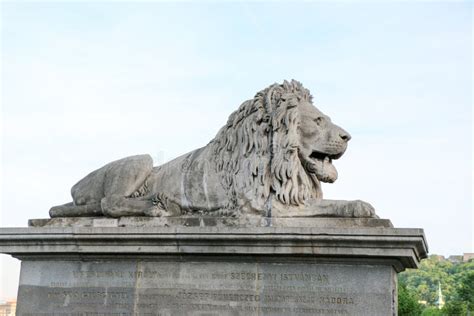 The Famous Chain Bridge Across The Danube Lion Statue Stock Photo