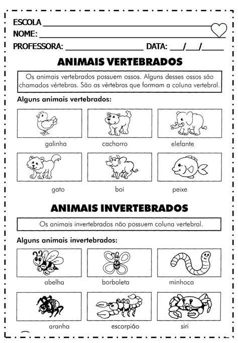 50 Atividade Sobre Animais Vertebrados E Invertebrados 1 Ano