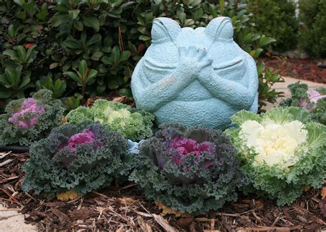 Ornamental cabbage, kale make excellent winter color | Mississippi ...