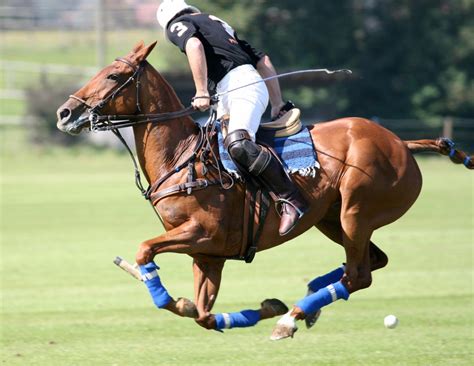 You can also see other key stats like fuel, mileage and transmission on offer. polo-image - Racing Blue Storm