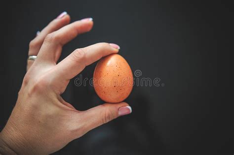 Huevo Del Pollo En La C Scara En El Fondo Negro Que Se Sostiene A Disposici N Foto De Archivo