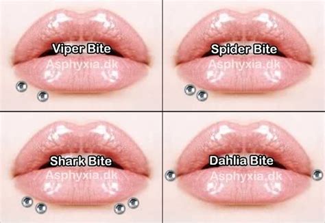 four pictures of different types of lips with the words spider bite written on them