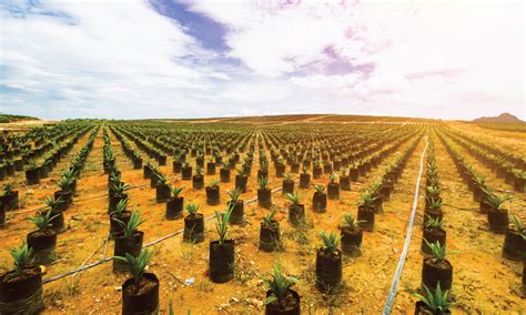 It is a country rich in mineral resources and fertile soils. Malaysia keen on exploring new markets while expanding ...