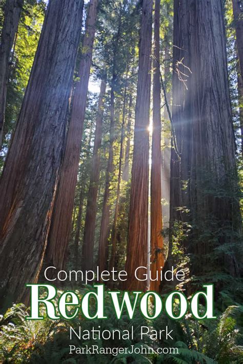 Redwood National Park Epic Guide 2023 Park Ranger John
