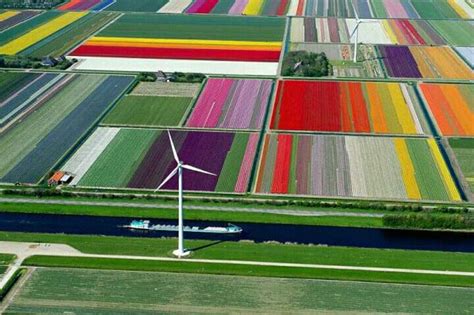 Hollandia tulipán ültetvény Breathtaking Places Beautiful Places
