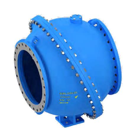 Swing Non Return Valve Ritm Industry