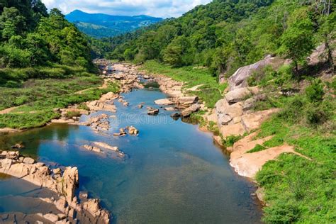 Landscape Of River In Jungle Of Sri Lanka Stock Photo Image Of Coast