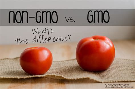 How To Recognize And Avoid Gmo Products World Inside Pictures
