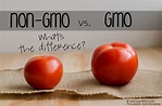 How To Recognize And Avoid GMO Products - World inside pictures