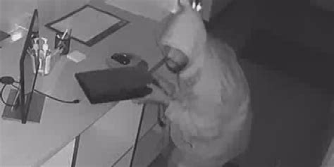 Crime Stoppers Cautious Criminal Suspect Caught On Camera On Camera Breaking Into Charlotte