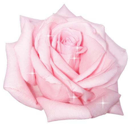 Free Animated Cliparts Roses Download Free Animated Cliparts Roses Png