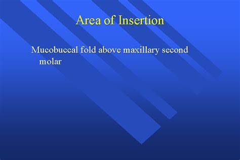 Maxillary Anesthesia Techniques Of Maxillary Anesthesia Local Infiltration