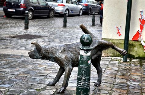 Информационна система за eлектронно поддържане на здравна информация за. 6 Photos of Pee-Pee Themed Statues In Brussels | Manneken Pis Belgium | Reckon Talk