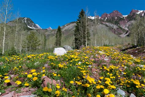 Spring Rocky Mountain Landscape A Photograph By Lynn Cyrus Cascade