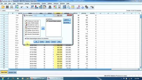 Lesson 13 Generating Descriptive Statistics In Spss For Continuous