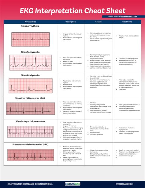 Click on the left/right arrows then choose to begin with ekg slide. EKG Interpretation Cheat Sheet (Free Download) | Ekg interpretation cheat sheets, Ekg ...