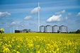 Biomass: the hidden face of the Energiewende - EnergyPost.eu