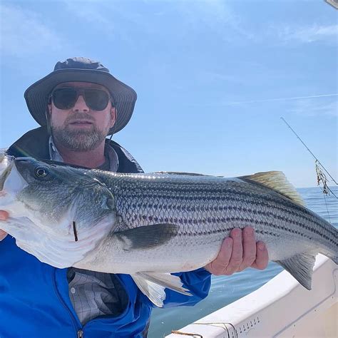 4 Hour Inshore Striped Bass Morning Outguided