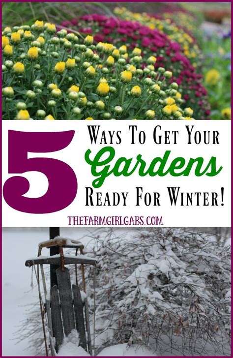 5 Ways To Get Your Gardens Ready For Winter Follow These Simple