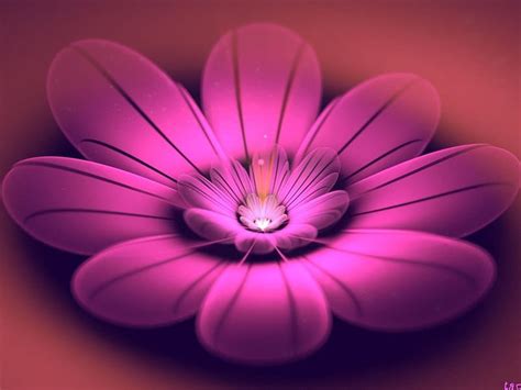 Violette Fractal Flowers Petals Abstract Pink Hd Wallpaper Peakpx