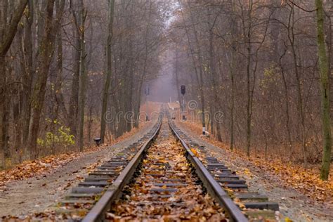 Railroad Single Track Through The Woods In Autumn Fall Landscape Stock