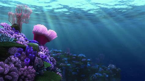 Finding Nemo Screensaver Coral Reef 1 Finding Dory Hd Wallpaper
