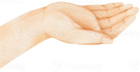 Open Palm Hand Watercolor Illustration 9660687 Png