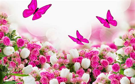 Das thema dieses fotos ist blume, hd, natur. Schmetterlingen, tulpen und rosen | HD Hintergrundbilder