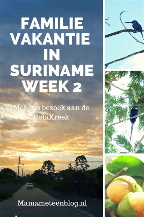 Onze Familievakantie In Suriname Week 2 Familiereizen Suriname