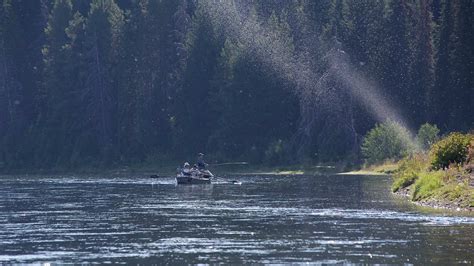 Grand Teton Jackson Hole Fly Fishing Guides