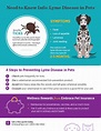 Is Lyme Disease Contagious From Dog To Dog