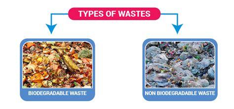 5 Types Of Waste