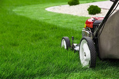 Top Tips For The Perfect All Year Round Lawn Care Hazelnews