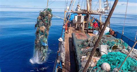 Ocean Cleanup Crew Just Collected A Record Amount Of Plastic From The
