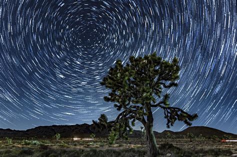 Star Trails Over A 400 Year Old Joshua Tree Jtnp Milky Way