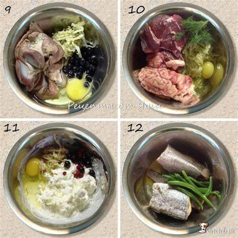 Высококалорийная диета кому назначается Высококалорийная диета для собаки - фото презентация Высококалорийная диета для собаки - фото презентация Высококалорийная диета кому назначается