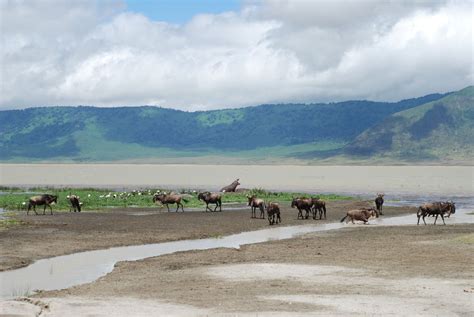 Ngorongoro Crater Hike Kilimanjaro Enjoy All Inclusive Tours To The