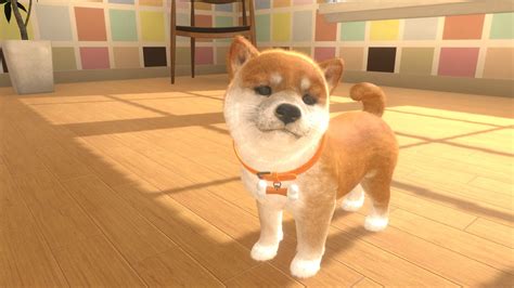Little Friends Dogs And Cats Is A Nintendogs Style Game Coming