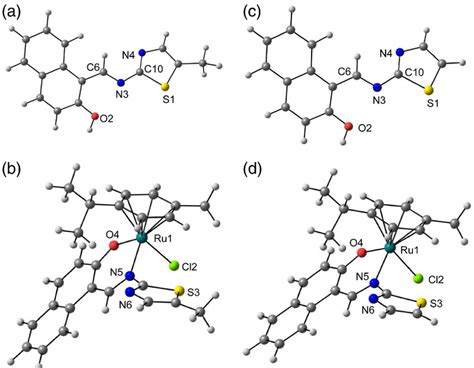 Density Functional Theory Dft‐optimized Structures Of A Hlthzme