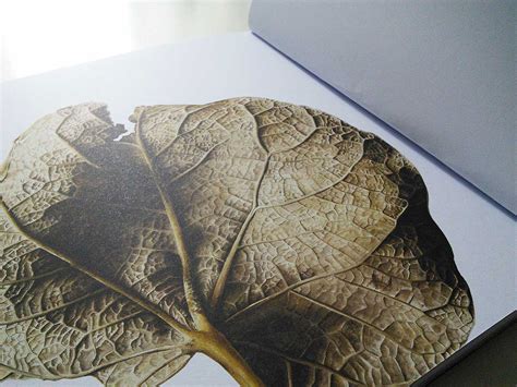 Inky Leaves Publishing Botanical Art Books On Behance